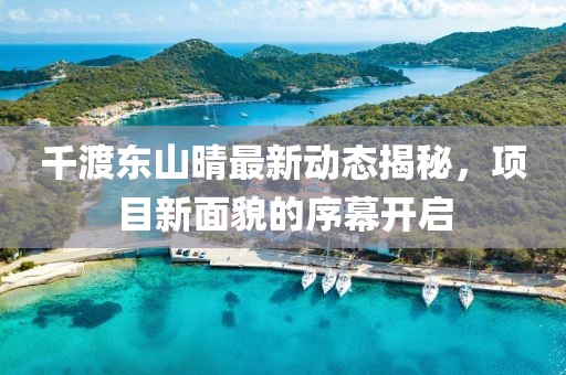 千渡东山晴最新动态揭秘，项目新面貌的序幕开启