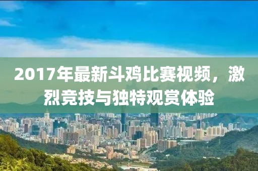 2017年最新斗鸡比赛视频，激烈竞技与独特观赏体验