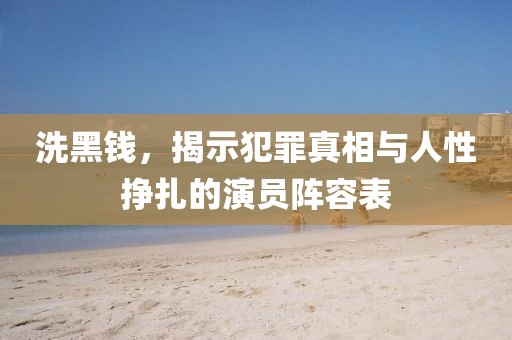 洗黑钱，揭示犯罪真相与人性挣扎的演员阵容表