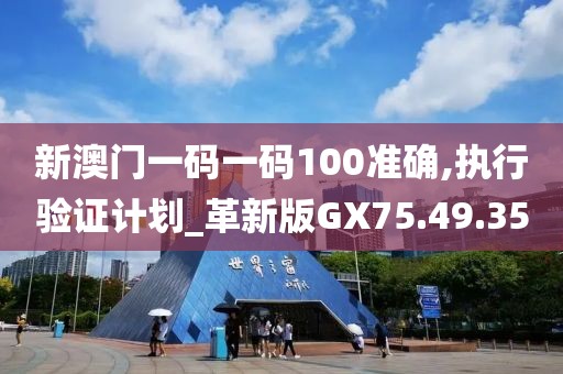 新澳门一码一码100准确,执行验证计划_革新版GX75.49.35