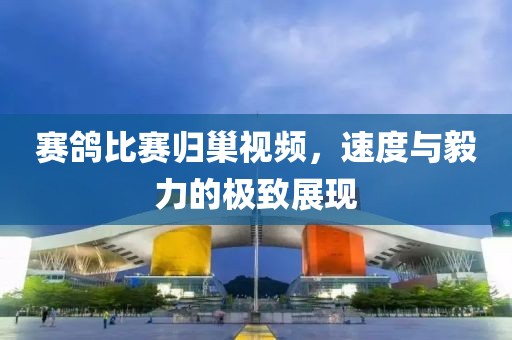 赛鸽比赛归巢视频，速度与毅力的极致展现