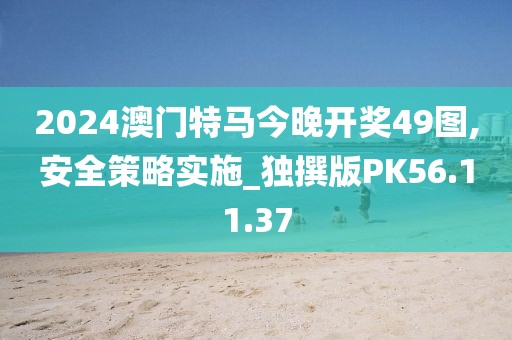 2024澳门特马今晚开奖49图,安全策略实施_独撰版PK56.11.37