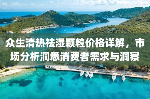 众生清热祛湿颗粒价格详解，市场分析洞悉消费者需求与洞察