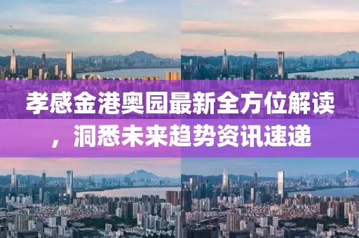 孝感金港奥园最新全方位解读，洞悉未来趋势资讯速递