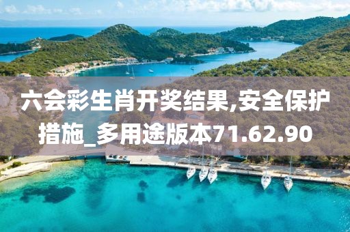 六会彩生肖开奖结果,安全保护措施_多用途版本71.62.90