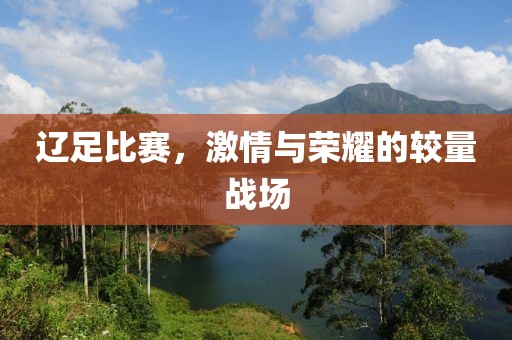 辽足比赛，激情与荣耀的较量战场