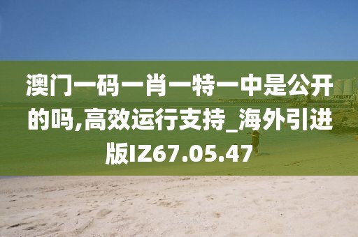 澳门一码一肖一特一中是公开的吗,高效运行支持_海外引进版IZ67.05.47