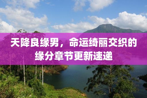 天降良缘男，命运绮丽交织的缘分章节更新速递