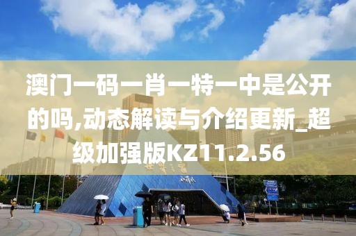 澳门一码一肖一特一中是公开的吗,动态解读与介绍更新_超级加强版KZ11.2.56