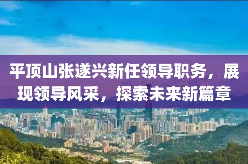 平顶山张遂兴新任领导职务，展现领导风采，探索未来新篇章