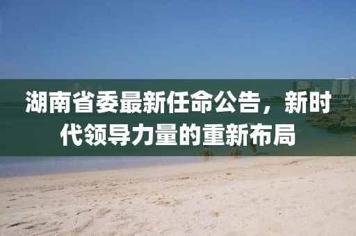 湖南省委最新任命公告，新时代领导力量的重新布局