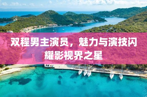 双程男主演员，魅力与演技闪耀影视界之星
