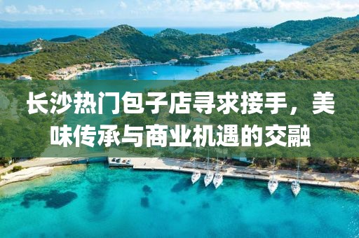 长沙热门包子店寻求接手，美味传承与商业机遇的交融