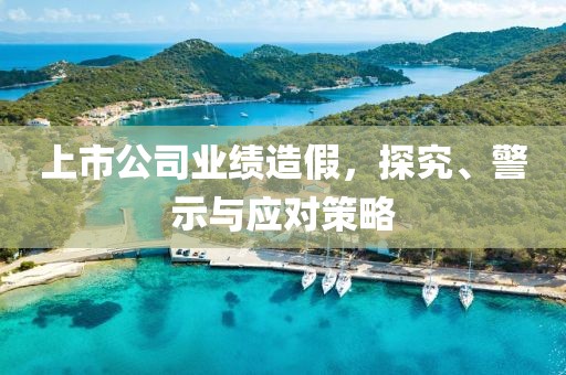 上市公司业绩造假，探究、警示与应对策略