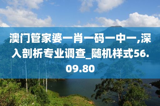 澳门管家婆一肖一码一中一,深入剖析专业调查_随机样式56.09.80