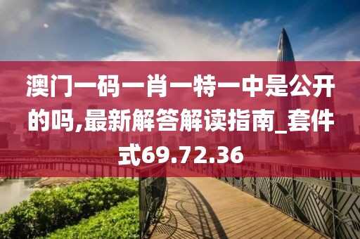 澳门一码一肖一特一中是公开的吗,最新解答解读指南_套件式69.72.36