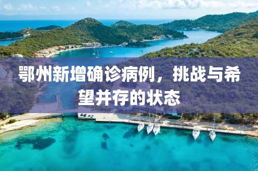 鄂州新增确诊病例，挑战与希望并存的状态