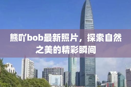 熊吖bob最新照片，探索自然之美的精彩瞬间