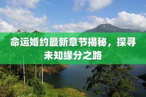 命运婚约最新章节揭秘，探寻未知缘分之路