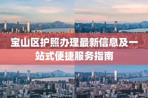 宝山区护照办理最新信息及一站式便捷服务指南
