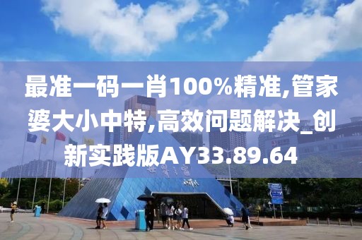 最准一码一肖100%精准,管家婆大小中特,高效问题解决_创新实践版AY33.89.64