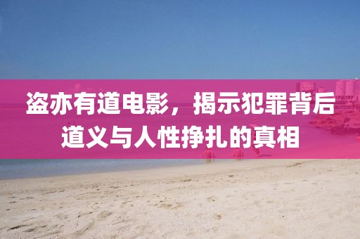 盗亦有道电影，揭示犯罪背后道义与人性挣扎的真相
