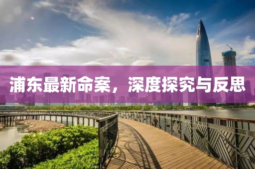 浦东最新命案，深度探究与反思