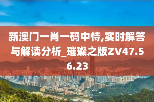 新澳门一肖一码中恃,实时解答与解读分析_璀璨之版ZV47.56.23