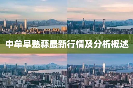 中牟早熟蒜最新行情及分析概述