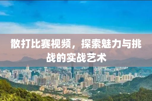 散打比赛视频，探索魅力与挑战的实战艺术