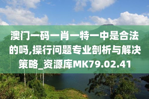 澳门一码一肖一特一中是合法的吗,操行问题专业剖析与解决策略_资源库MK79.02.41