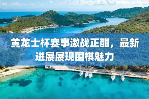 黄龙士杯赛事激战正酣，最新进展展现围棋魅力