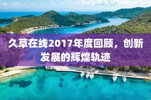 久草在线2017年度回顾，创新发展的辉煌轨迹