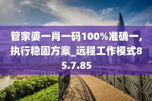 管家婆一肖一码100%准确一,执行稳固方案_远程工作模式85.7.85