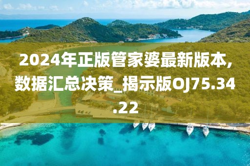2024年正版管家婆最新版本,数据汇总决策_揭示版OJ75.34.22