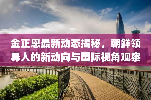 金正恩最新动态揭秘，朝鲜领导人的新动向与国际视角观察