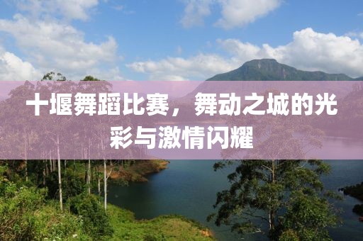 十堰舞蹈比赛，舞动之城的光彩与激情闪耀