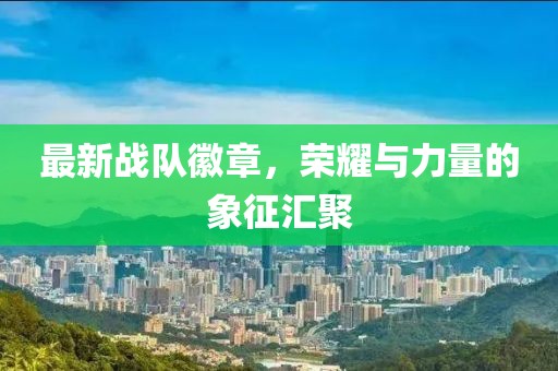 最新战队徽章，荣耀与力量的象征汇聚