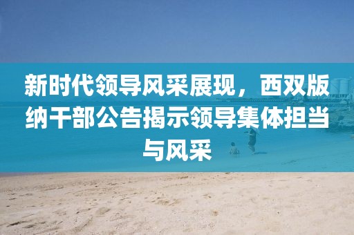 新时代领导风采展现，西双版纳干部公告揭示领导集体担当与风采