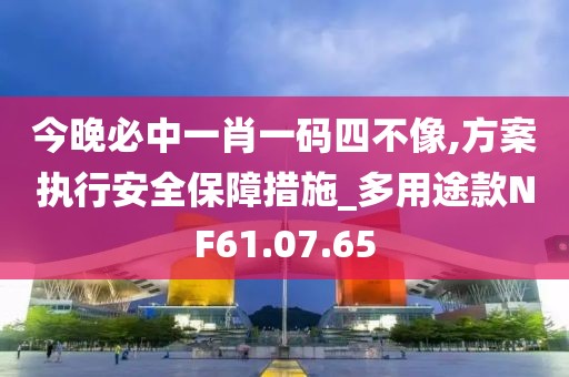 今晚必中一肖一码四不像,方案执行安全保障措施_多用途款NF61.07.65
