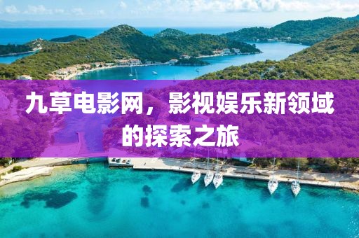 九草电影网，影视娱乐新领域的探索之旅