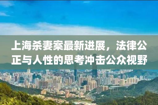 上海杀妻案最新进展，法律公正与人性的思考冲击公众视野