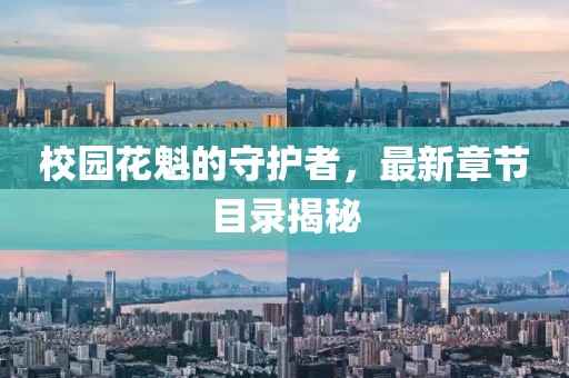 校园花魁的守护者，最新章节目录揭秘