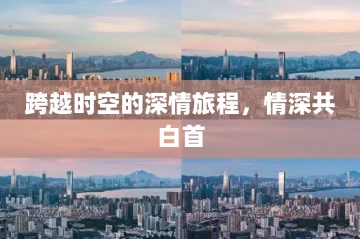 跨越时空的深情旅程，情深共白首
