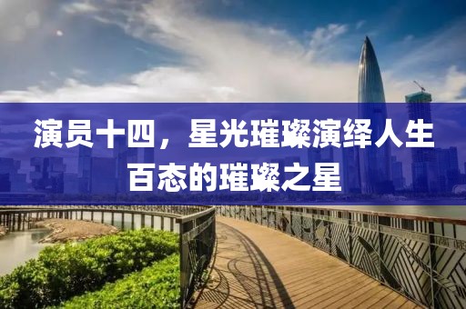 演员十四，星光璀璨演绎人生百态的璀璨之星