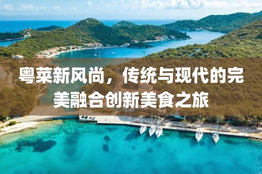 粤菜新风尚，传统与现代的完美融合创新美食之旅