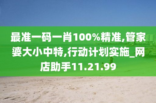 最准一码一肖100%精准,管家婆大小中特,行动计划实施_网店助手11.21.99