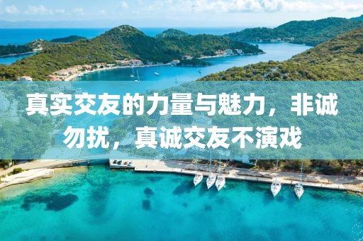 真实交友的力量与魅力，非诚勿扰，真诚交友不演戏