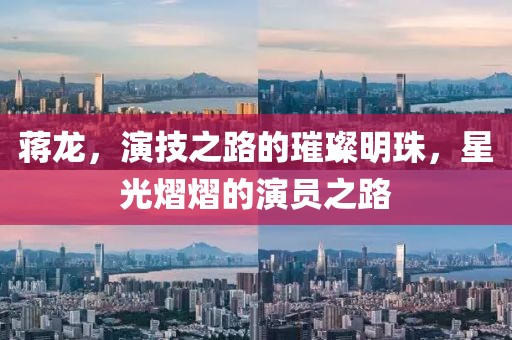 蒋龙，演技之路的璀璨明珠，星光熠熠的演员之路