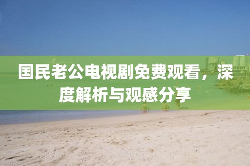 国民老公电视剧免费观看，深度解析与观感分享